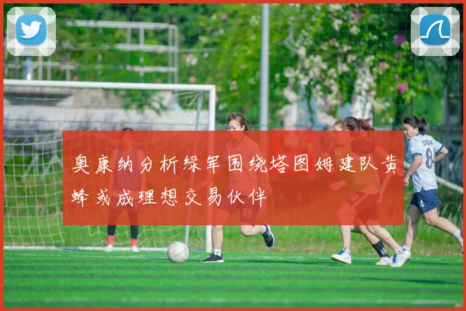 奥康纳分析绿军围绕塔图姆建队黄蜂或成理想交易伙伴